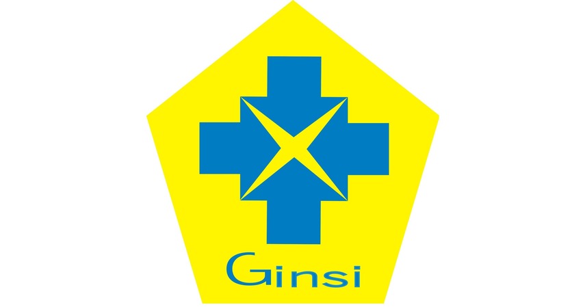 logo GINSI (Gabungan Importir Nasional Seluruh Indonesia)