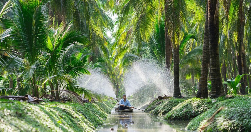 Perkebunan kelapa di Thailand