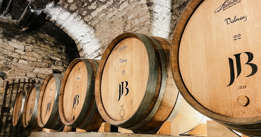 Proses pengawetan anggur dengan fermentasi 